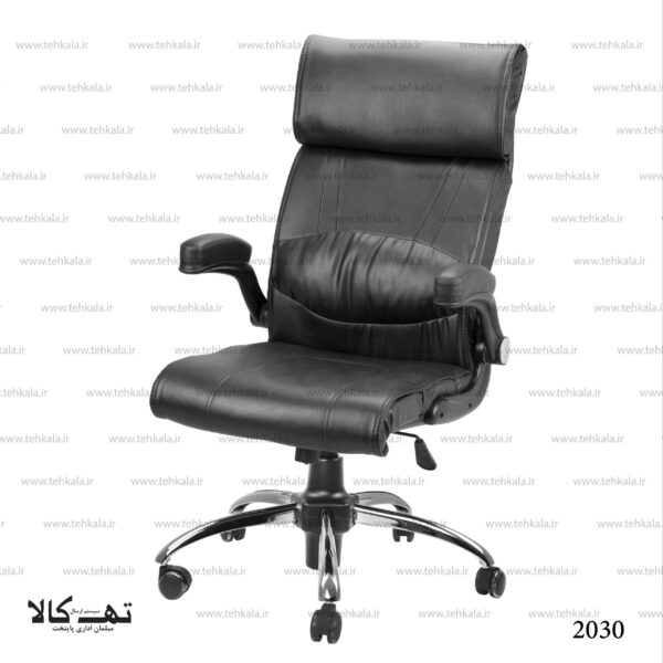 صندلی مدیریتی 2030