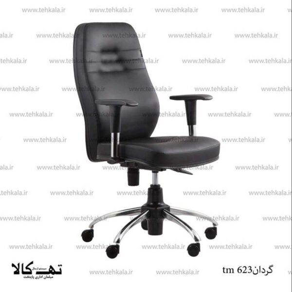 صندلی گردان tm 623 - تصویر 2